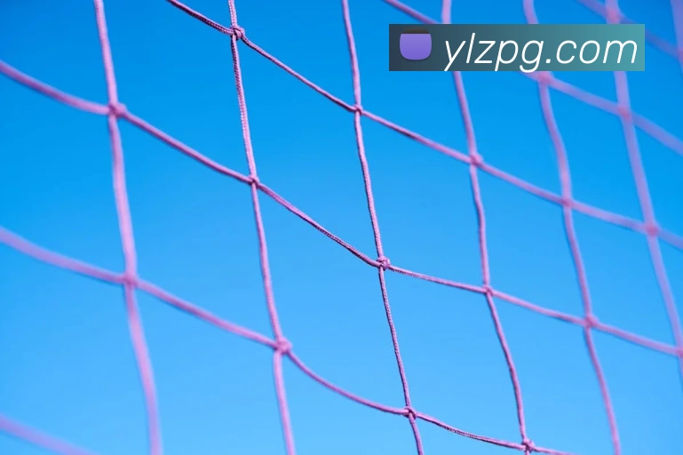 pg电子平台生态图